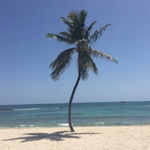 Meet your Posher, Casey